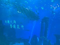 -南昌融创海世界
