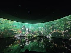 -中国湿地博物馆