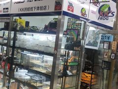 -宝鸡东道花鸟鱼虫市场(吉利花园商场店)