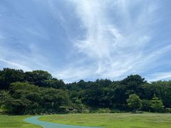 -汉拿树木园