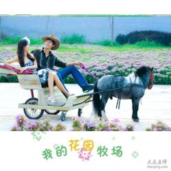 -飞鱼婚纱摄影(宏福大厦店)