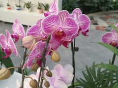 -兰陵国家农业公园