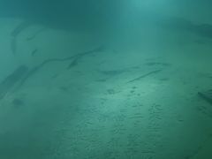-白鹤梁水下博物馆