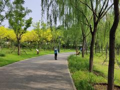 -东郊湿地公园