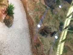 -九九私厨(石溪店)