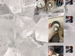 -翊宠yipet猫狗购宠庄园犬舍•猫舍