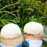 成都坠好吃的椰子冻🥥泰满足啦 