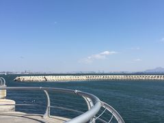 -星海湾跨海大桥