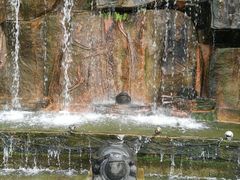 -松山湖梦幻百花洲