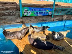 -大连圣亚海洋世界