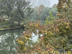 -四里河滨水生态公园