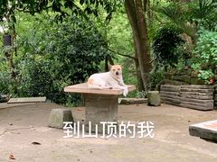 -道教老君洞