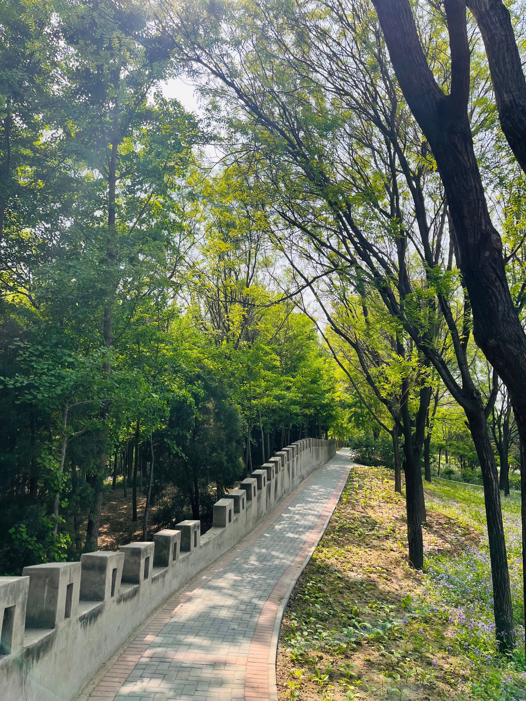 百子湾休闲公园