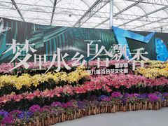 -万顷园艺世界