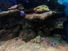 -西安曲江海洋极地公园