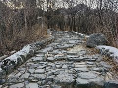 -阳台山自然风景区