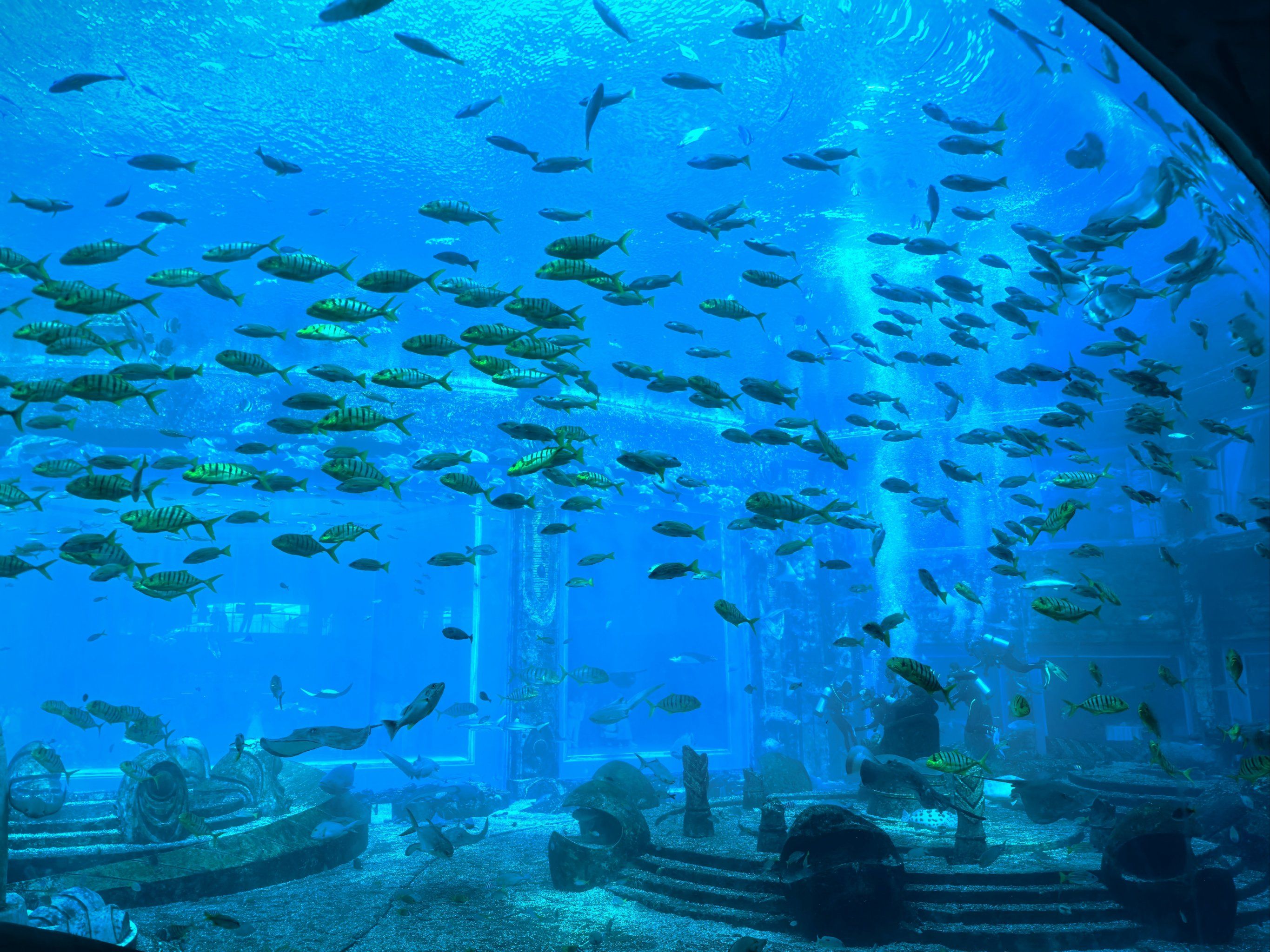 水族馆的秘密角落