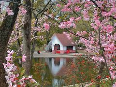 -上海共青森林公园