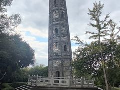 -上海佘山国家森林公园天马山园