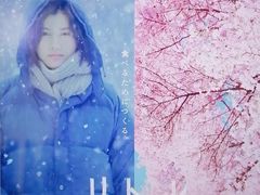 -学习谷日语培训日本留学·多语种外语教学(海淀人大分部)