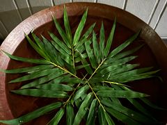 -Let's Relax Spa(Phuket 3rd Street)