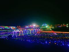 景点-大塘金香草谷