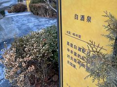 -大连金石滩绿发温泉假日酒店