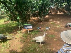-昆明动物园
