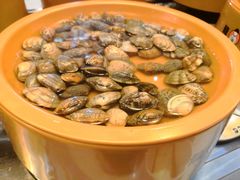 -龍歌自助小火锅(李沧丽达店)