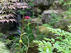 -润泽天·湘味家宴(岳麓山店)