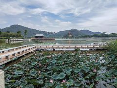 -顺峰山公园
