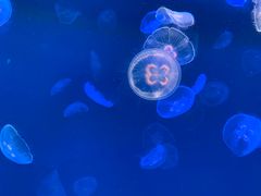 -多彩贵州城极地海洋世界