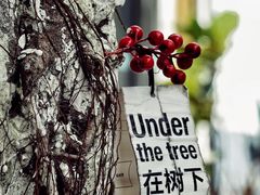 景观位-ADO KAFE(大学城店)
