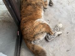 -马陆小张葡萄园农家乐