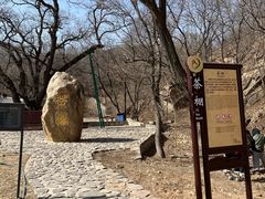 -北京西山国家森林公园