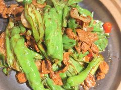 -鸽子窝(青塔店)