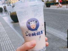 -一只酸奶牛(百联南岸上海城店)