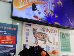 -纳吉亚猫专科动物医院博雅分院