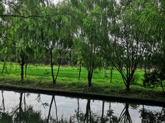 -广富林郊野公园
