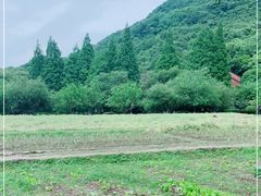 -八卦田遗址公园