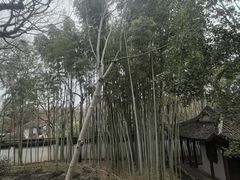 -秋霞圃