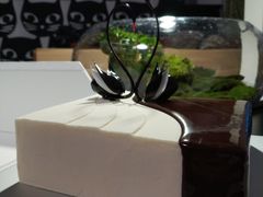 -BLACKSWAN黑天鹅(环球店)
