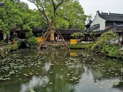 -上海醉白池公园