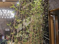 -茅庐毛血旺(临沂泰盛广场店)