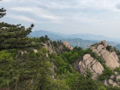 -六里坪国家森林公园