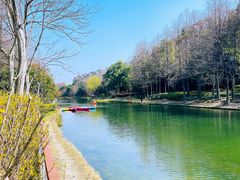 -新江湾城公园