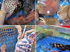 -四川小胡子海鲜(丁村万人海鲜广场店)