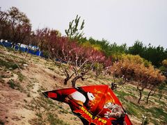 -潮粥荟·潮汕砂锅粥(槐房万达店)