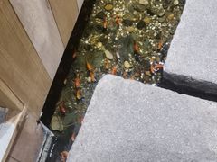 -邈墨茶馆(凤起路店)