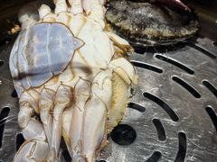 -77号渔船·蒸海鲜青岛菜(积米崖店)